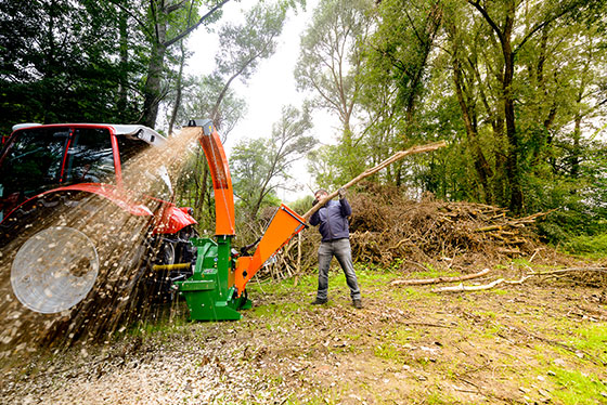 haecksler posch mann zerkleinert holz spaehne fliegen im wald