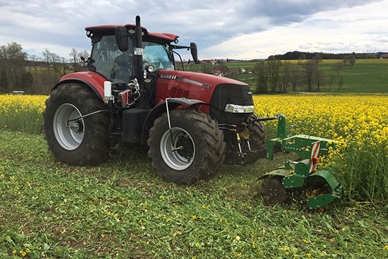 rest pflanzen zerkleinerung kerner rapsfeld